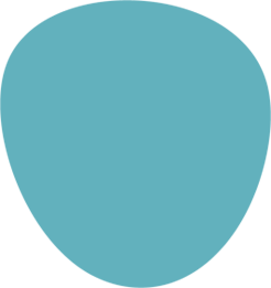 ovvel shape